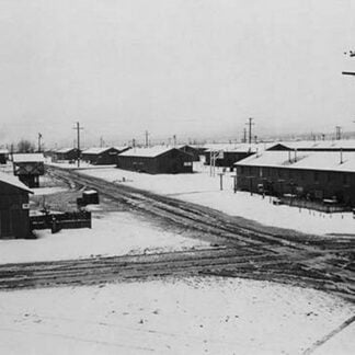 Winter Storm by Ansel Adams