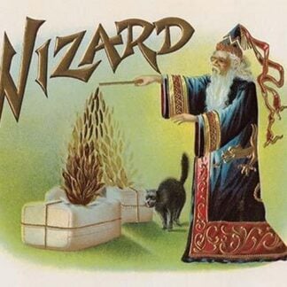 Wizard