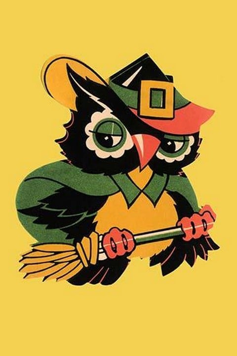 Wizard Owl on Broomstick