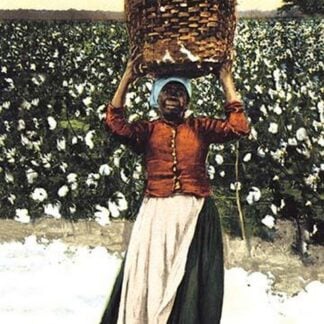 Woman with Basket of Cotton