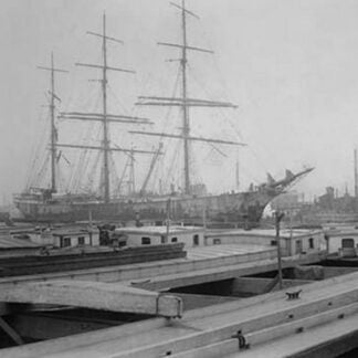 Woman's Suffrage Truck surrounded by Throngs