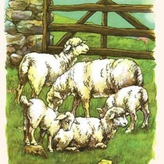 Woolly Sheep in the Pasture by Bird & Haumann