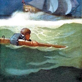 Wreck of the Covenant by N.C. Wyeth