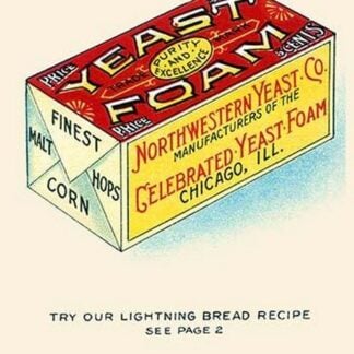 Yeast Foam by Ketterlinus