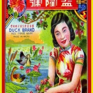 Yick Loong Fireworks Co. Duck Brand Firecracker