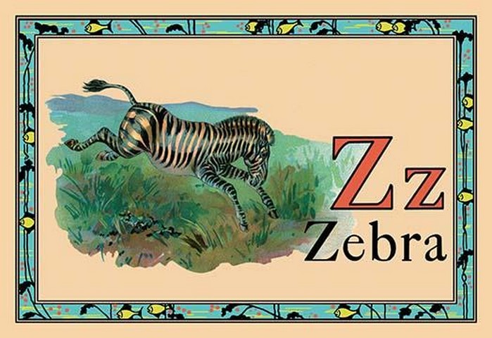 Z is for Zebra