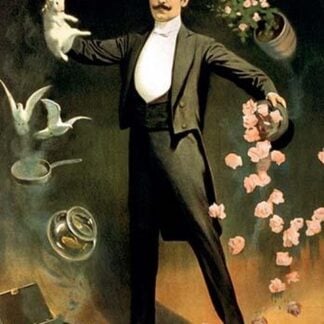 Zan Zig Performing with Rabbit and Roses