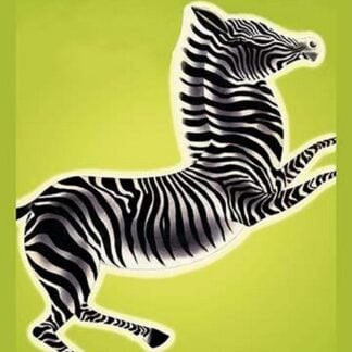 Zebra by Frank McIntosh