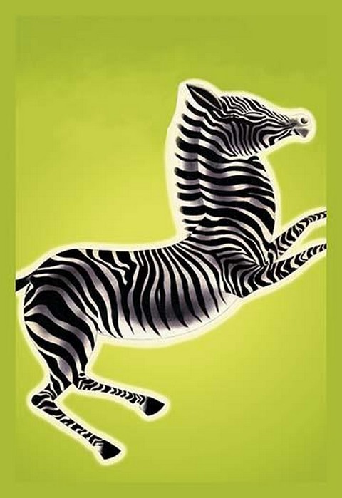 Zebra by Frank McIntosh